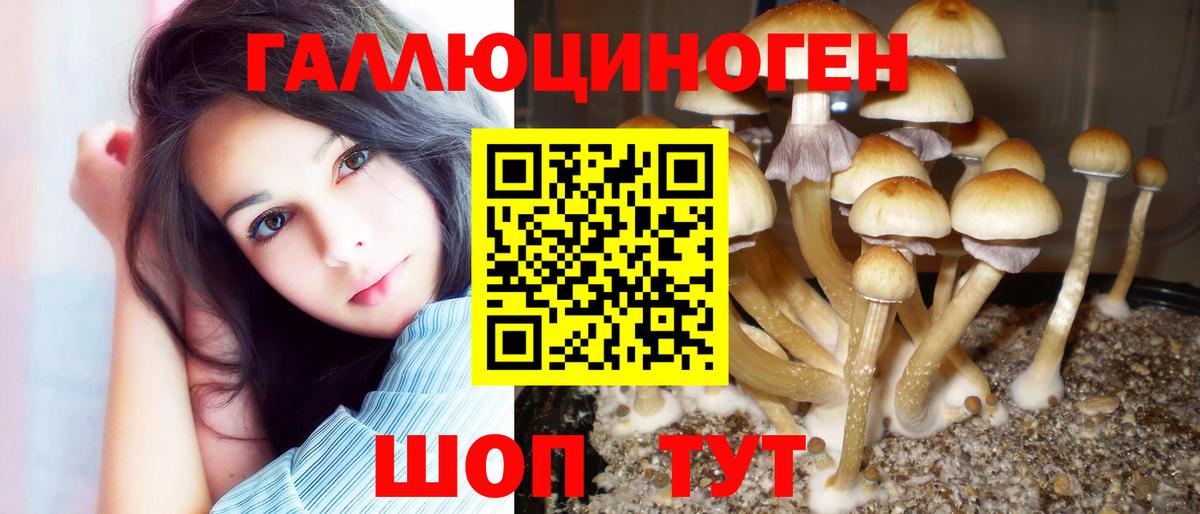 Галлюциногенные грибы мицелий  Вход с VPN  Саратов 